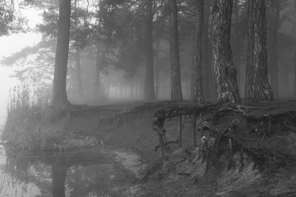 Фотография автора Колосова Елена