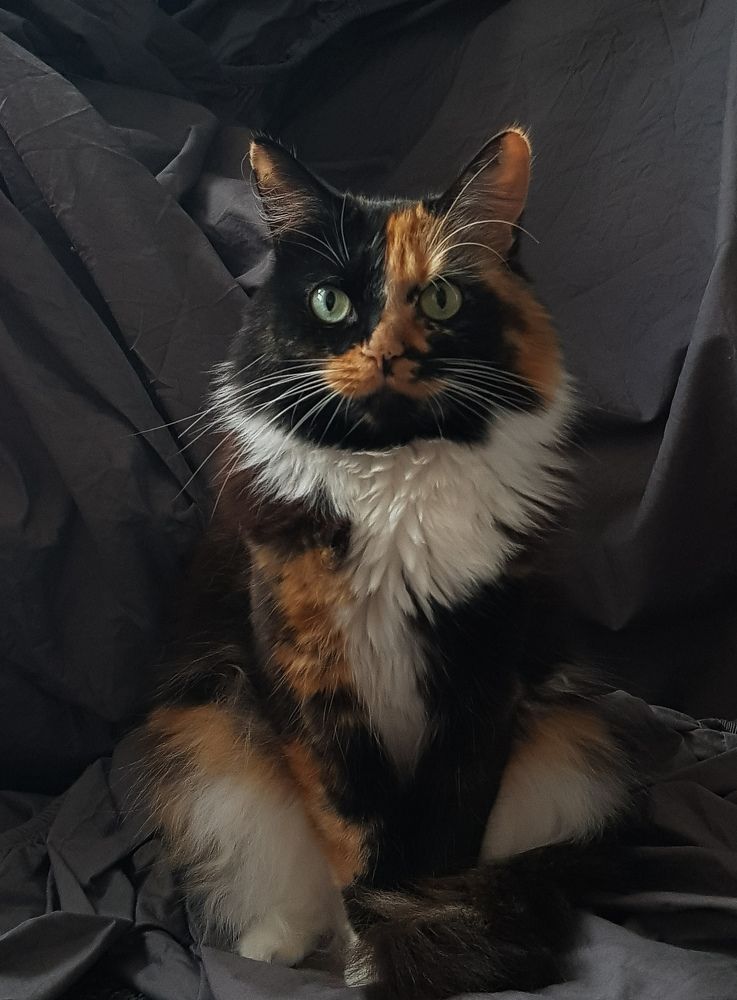 Photograph by Veslava Kaslej