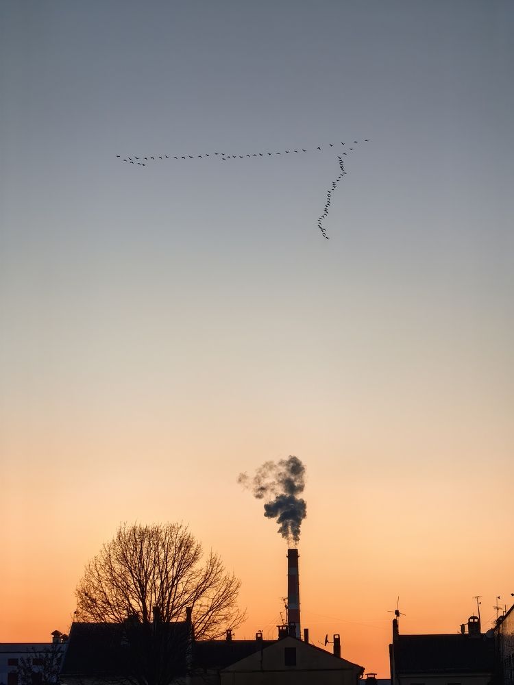 Фотография автора Ольга Панасюк