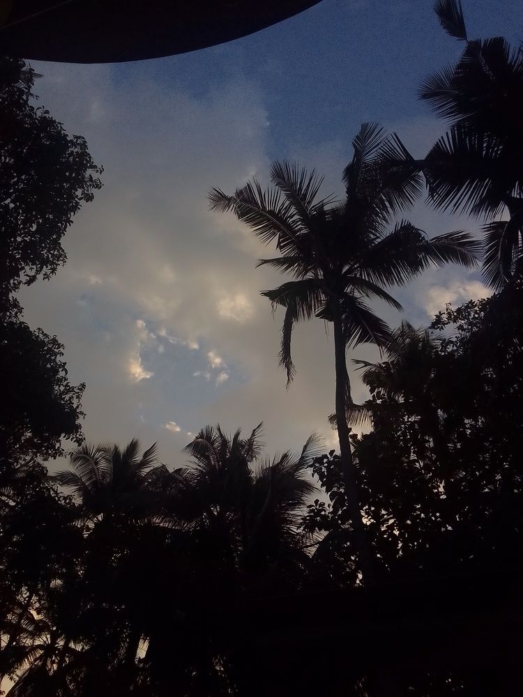 Photo #10476956