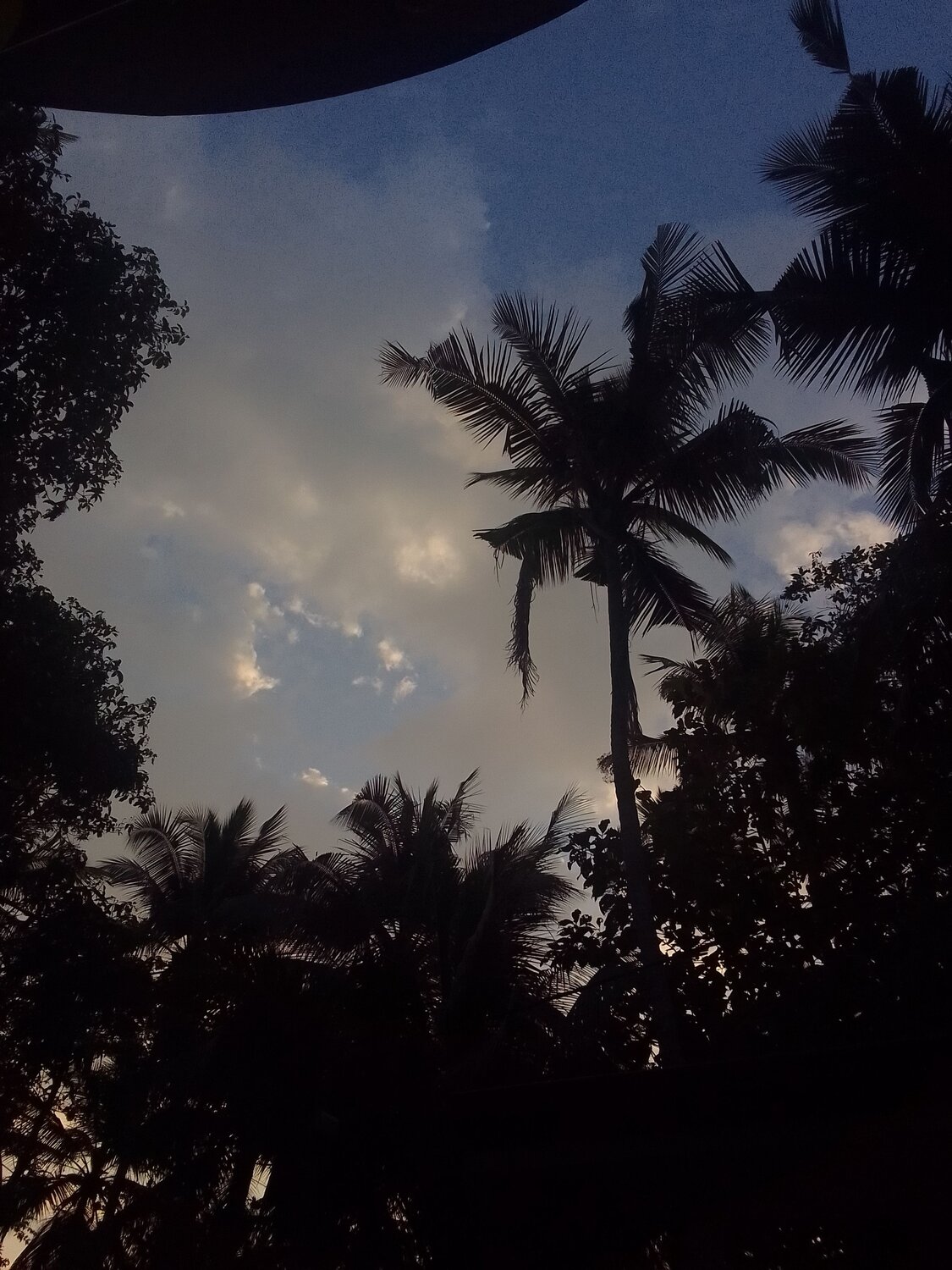 Photo #10476956