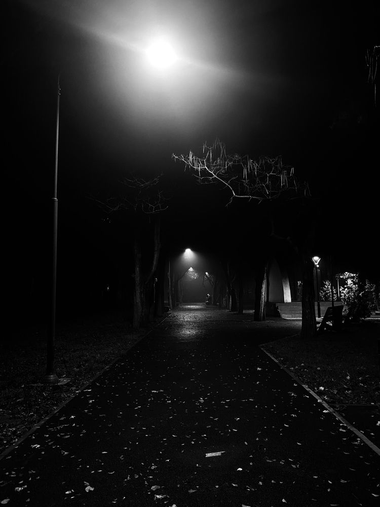 Фотография автора Daria