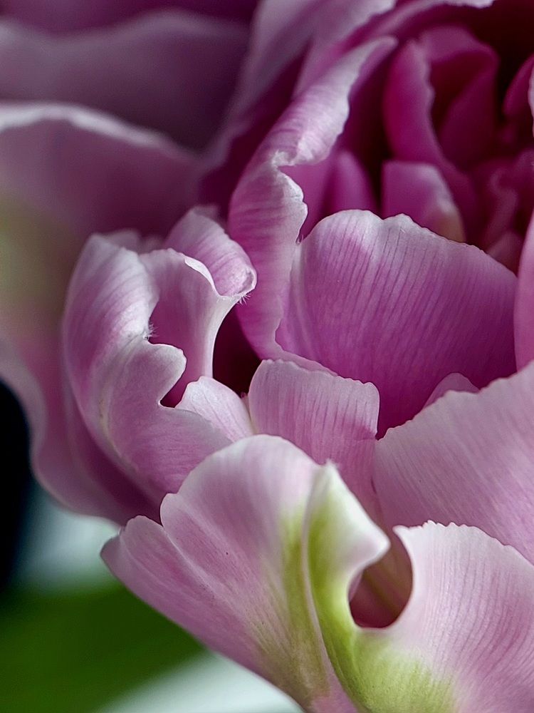 Photograph by Ольга Кирьянова