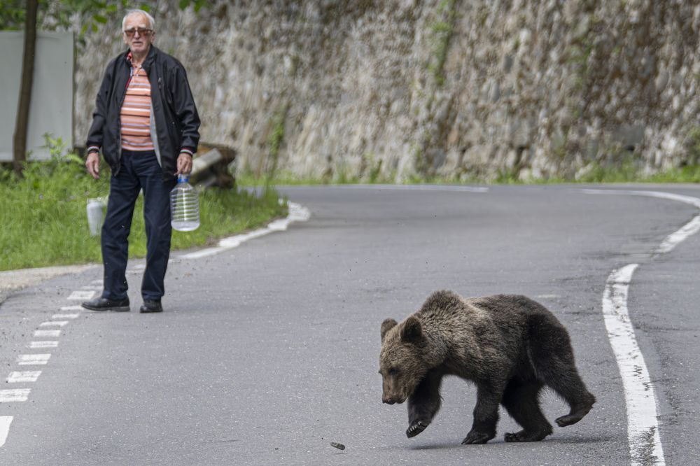 Photograph by Ovi D Pop