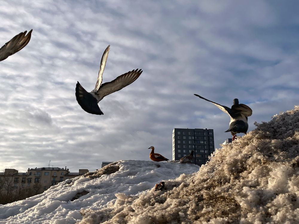 Photograph by Виктория Горельченко