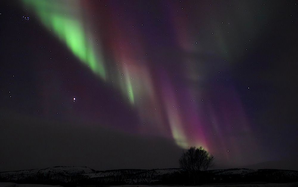 Фотография автора Светлана Терехова