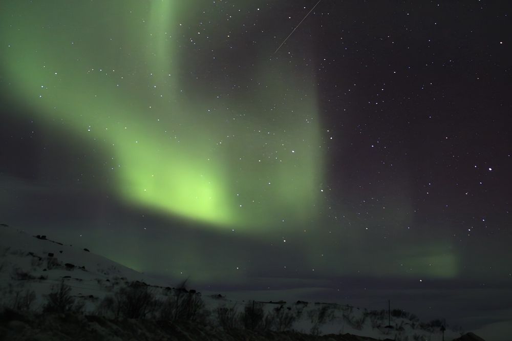 Фотография автора Светлана Терехова