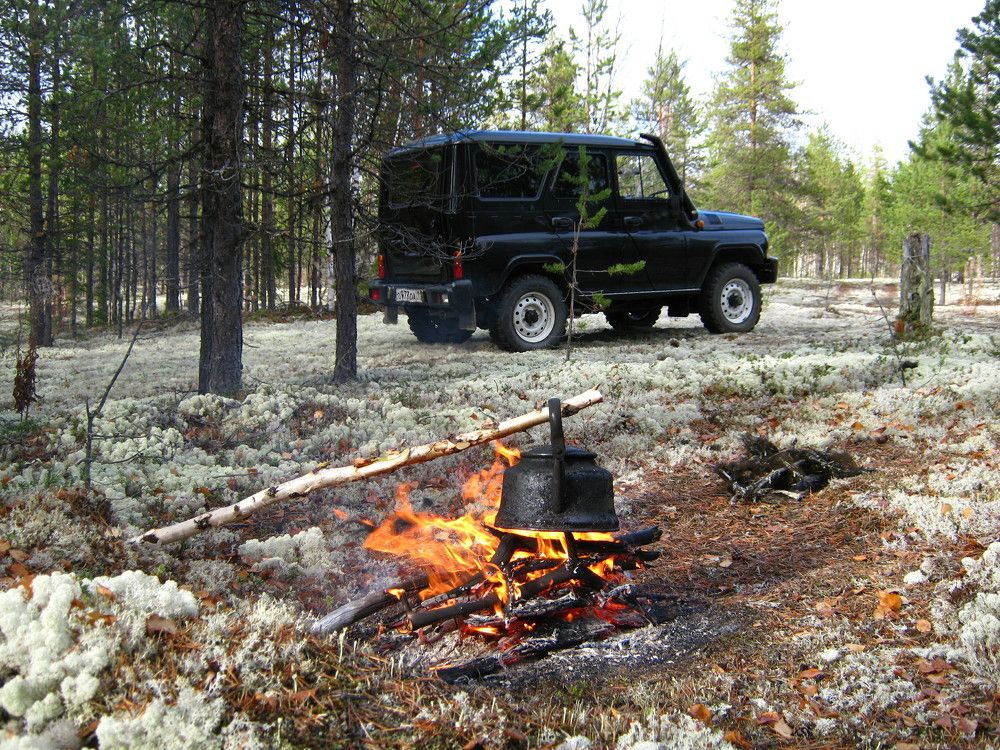 Фотография автора геннадий лалаев