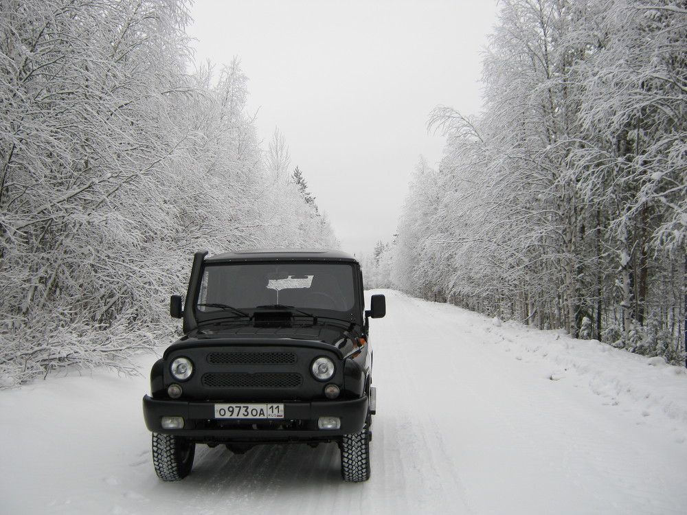 Фотография автора геннадий лалаев