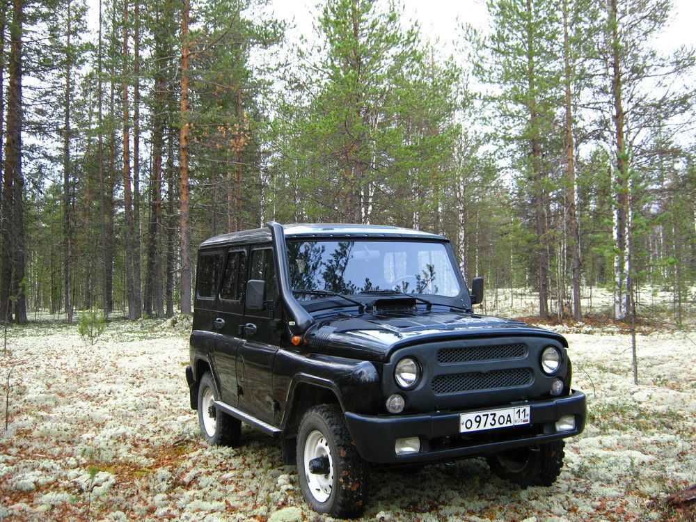 Фотография автора геннадий лалаев