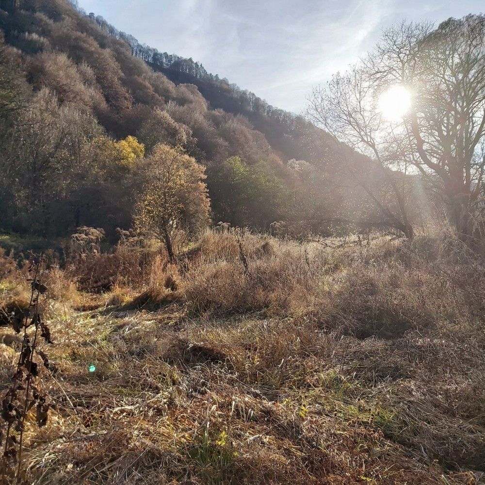 Photograph by Елена Максимовна