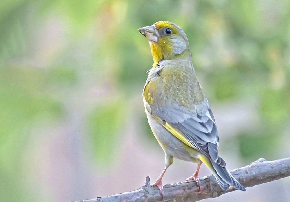 Photograph by Сергей