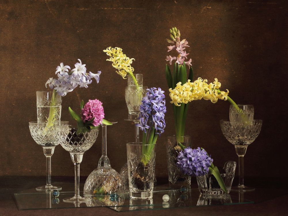 Фотография автора ТАТЬЯНА ЗАХАРОВА