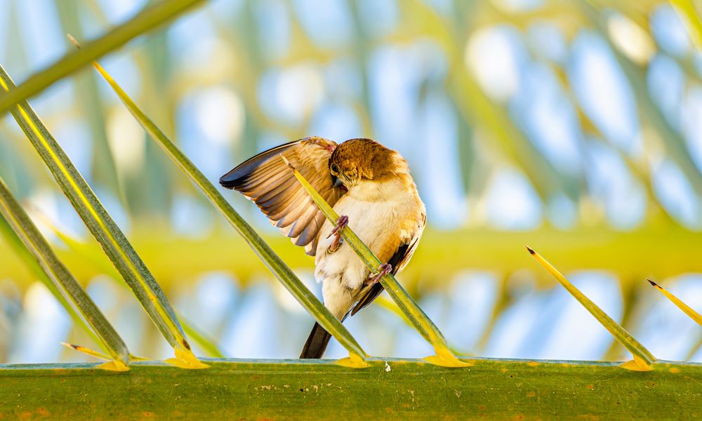 Photograph by IHAR VYSHYNSKI