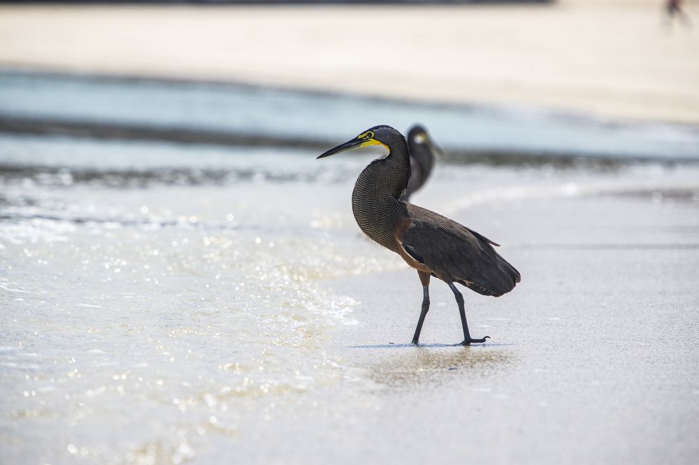 Photograph by Gabriel Cusmir