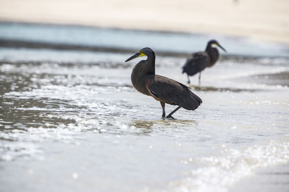 Photograph by Gabriel Cusmir