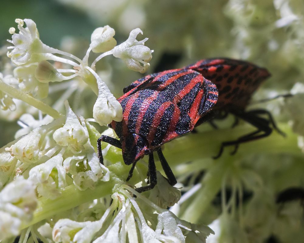 Фотография автора Борис Журавлёв