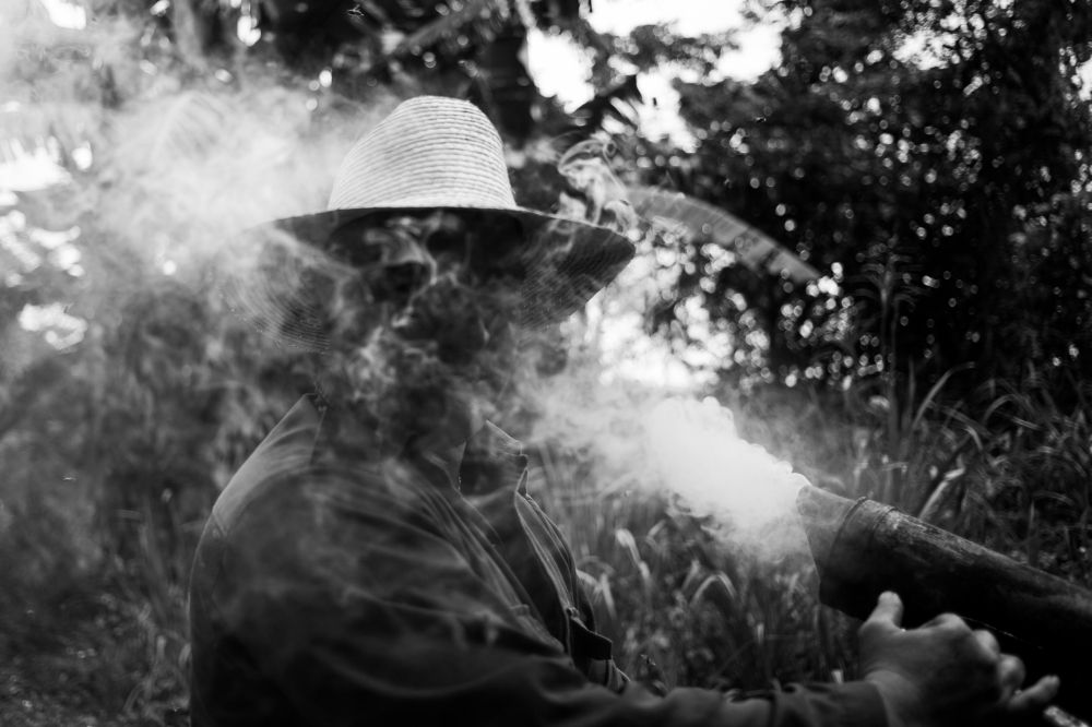 Photograph by Enrique González Díaz (Enro)