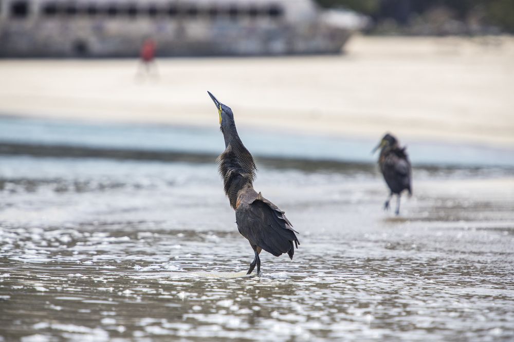 Photograph by Gabriel Cusmir