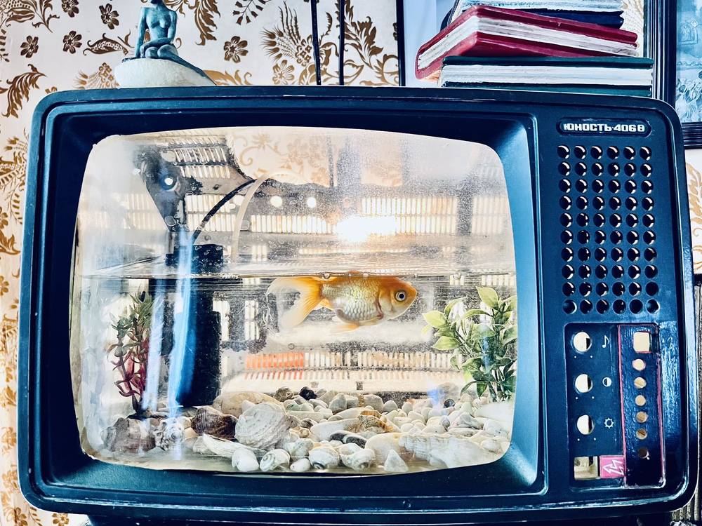 Фотография автора iako kunchulia