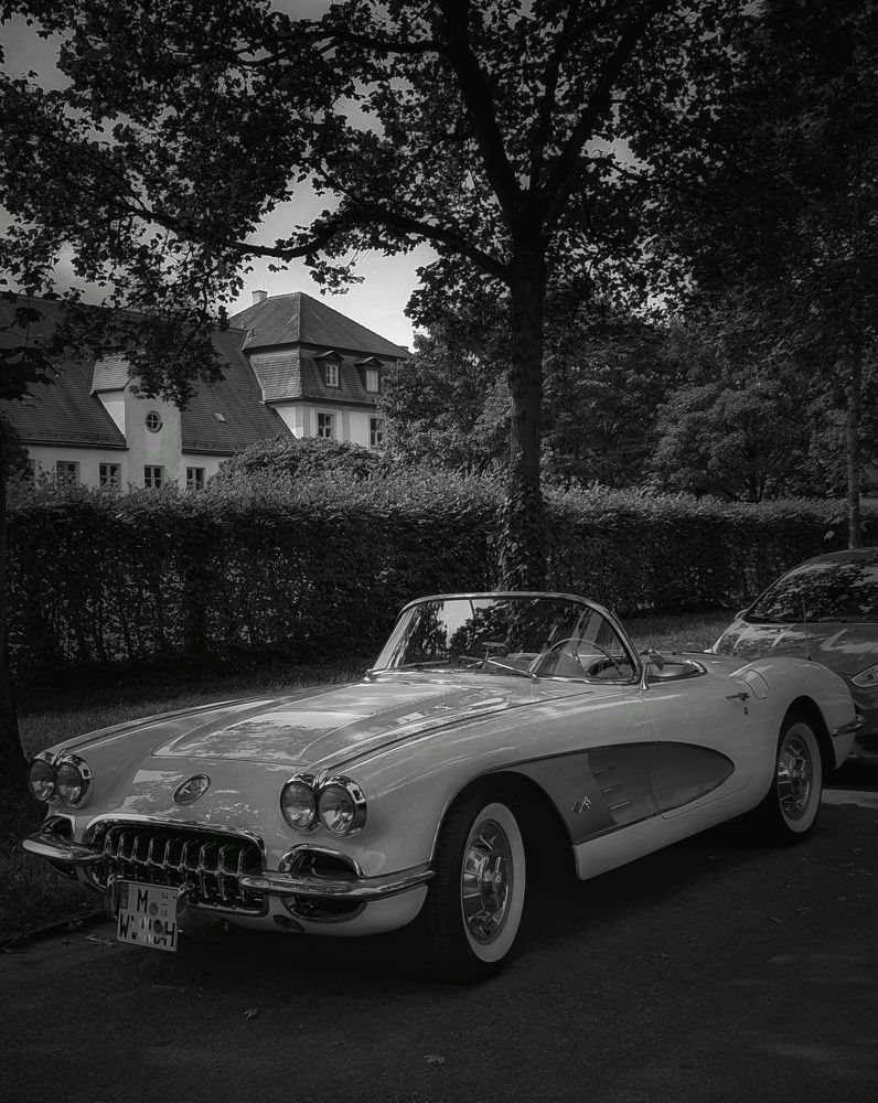 Photograph by Марина Регенспергер