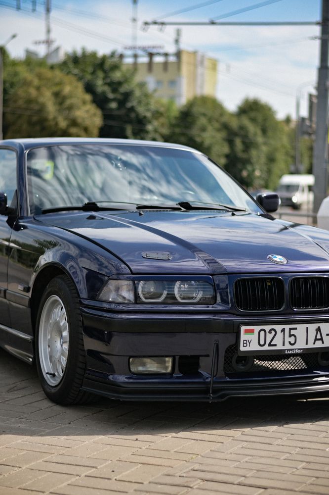 Фотография автора Екатерина Высоцкая