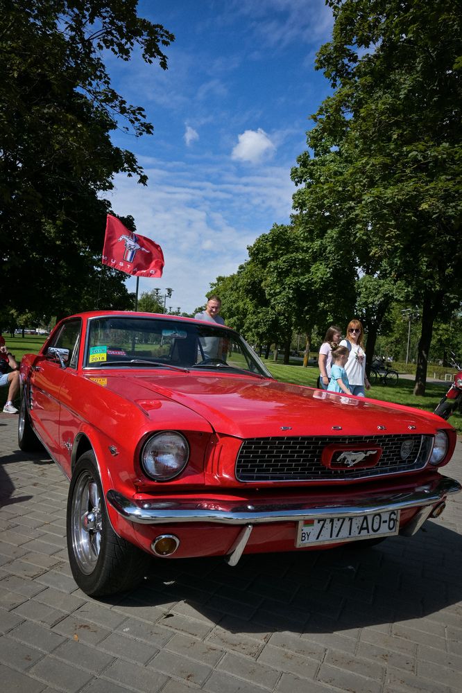 Фотография автора Екатерина Высоцкая