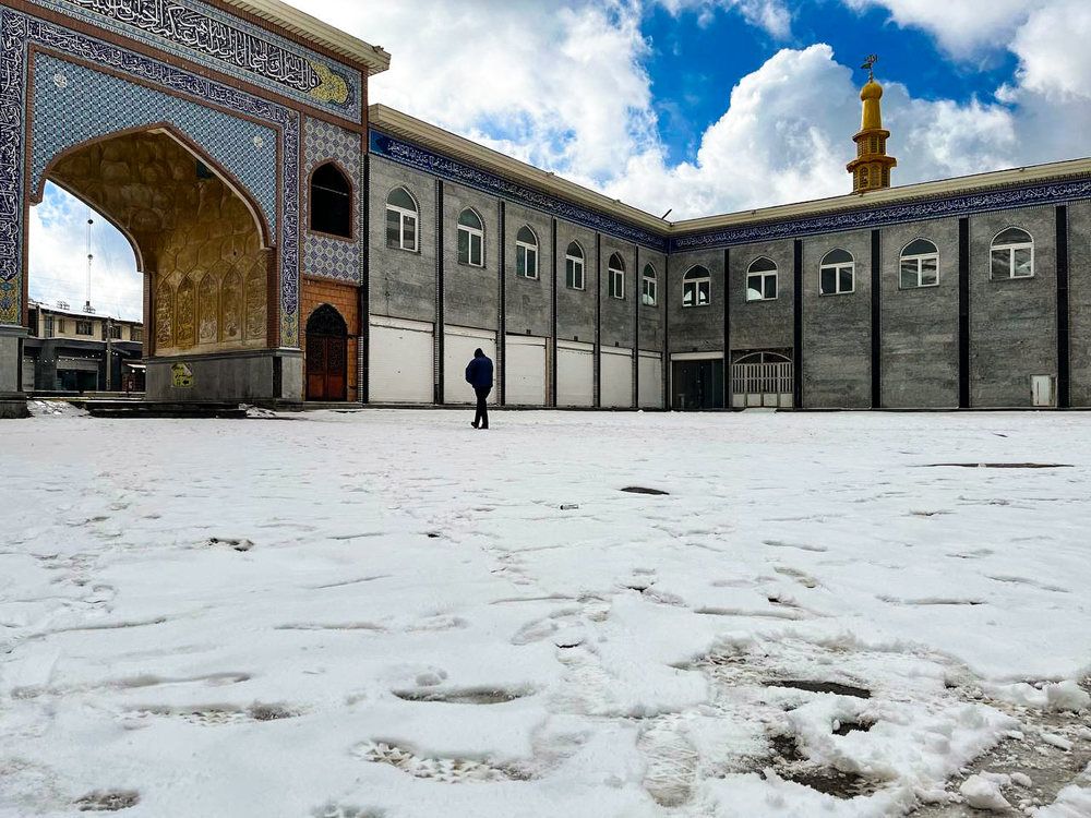 Photograph by mohsen  ali nikpour