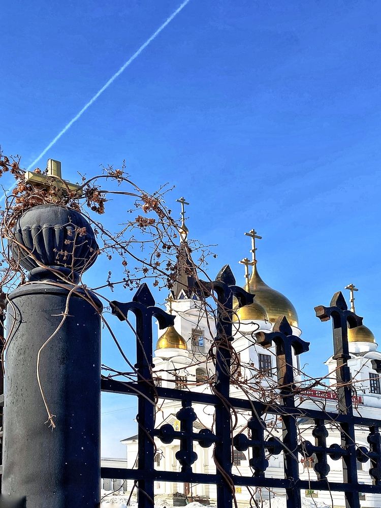 Фотография автора Gala Timaeva