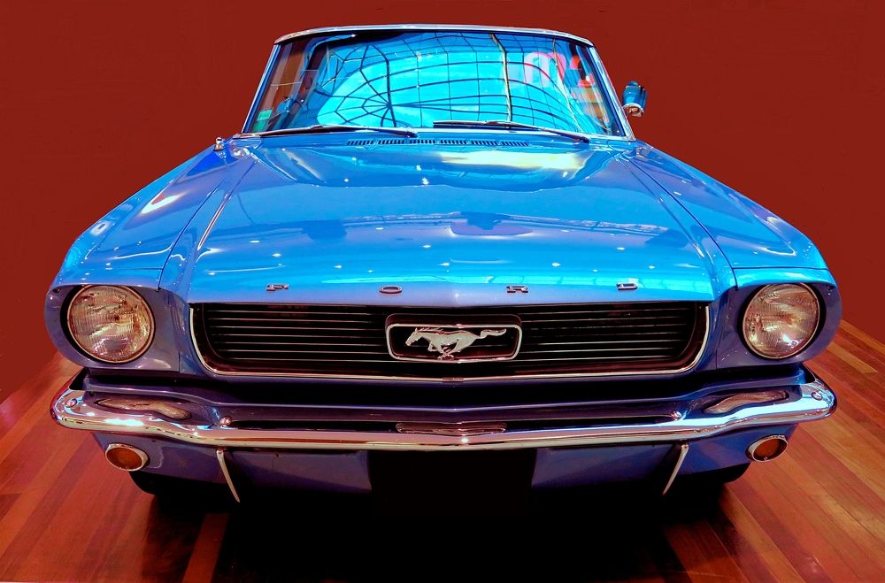 Antique Mustang