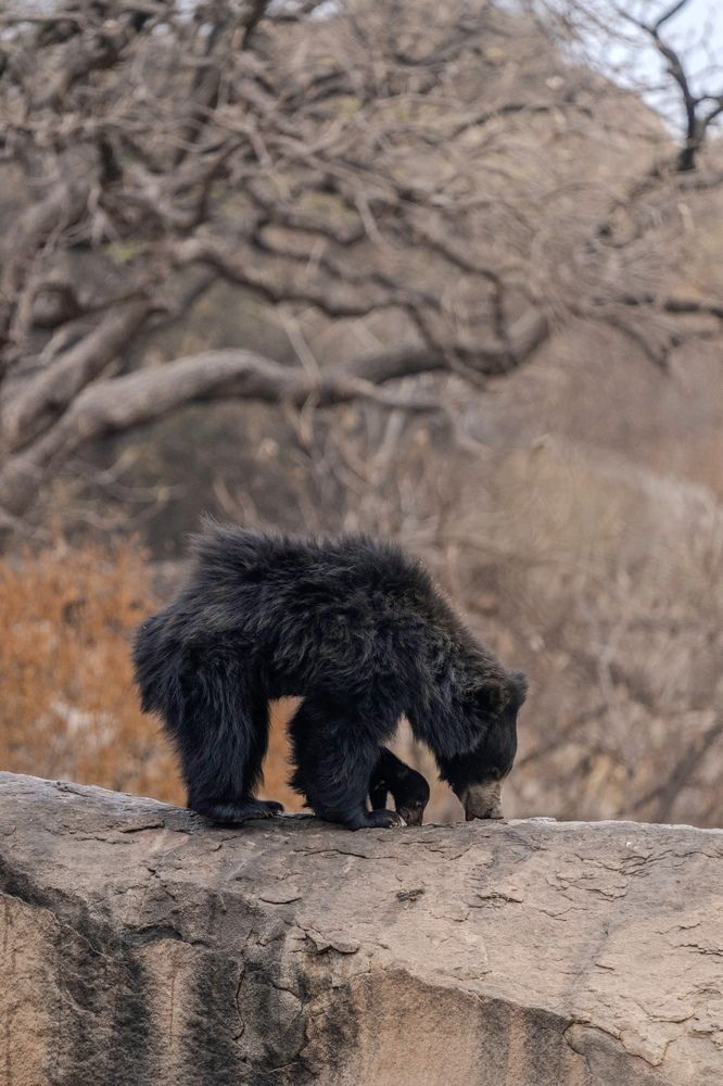 Photograph by Sachin Tavag