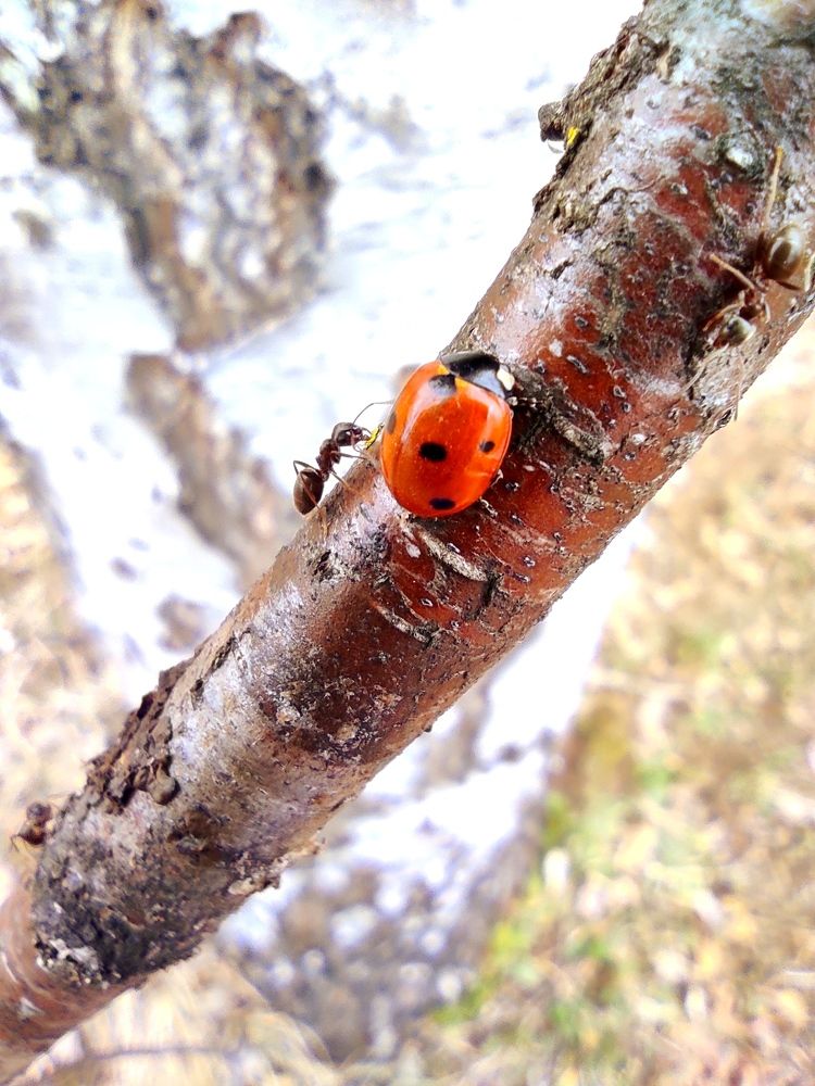 Photograph by Надежда Кангина