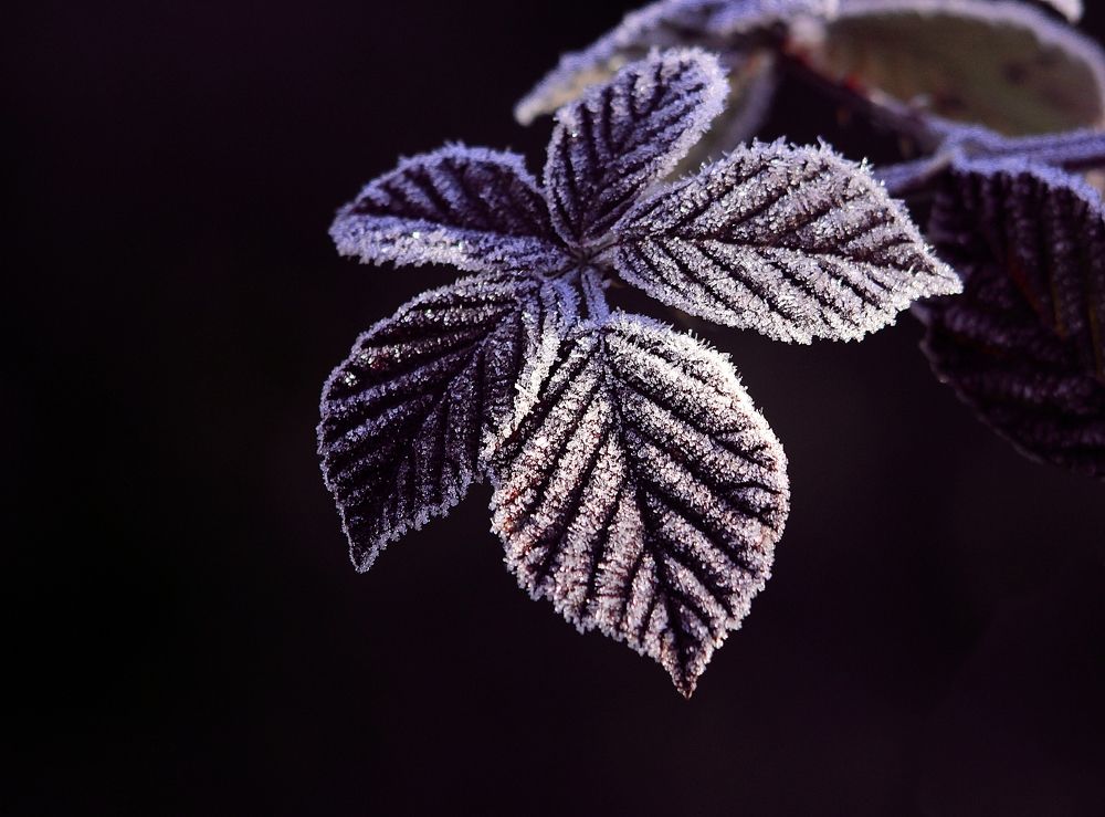 Photograph by Александр