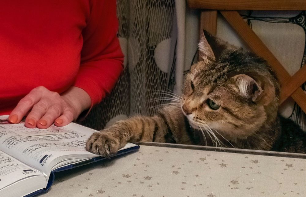 Photograph by Виктор Поверенов