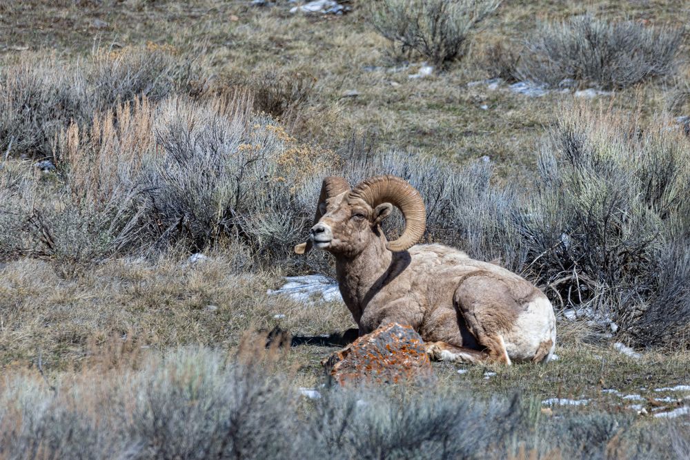 Фотография автора Brian Kinghorn