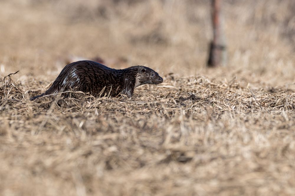 Photograph by Valerijs Bukovskis