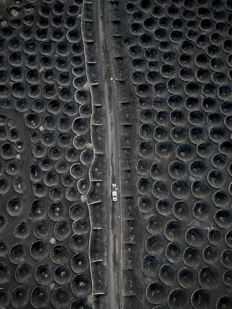 Photograph by Grzegorz Bykowski