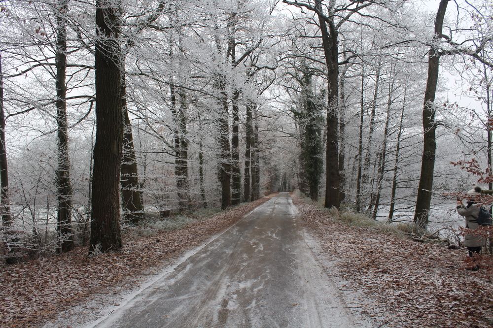 Photograph by Viktor Dikmann