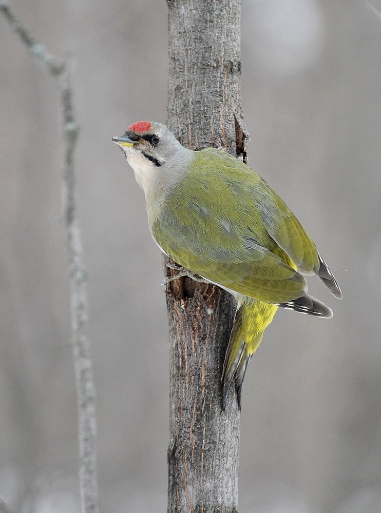 Photograph by Алексей Козлов