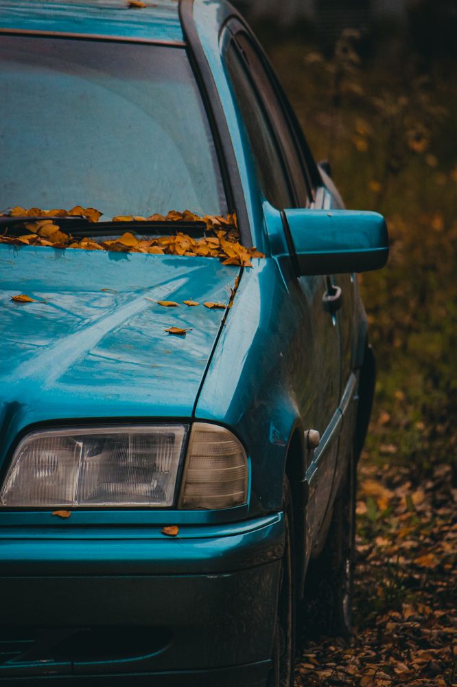 Photograph by Света Вирбицкас