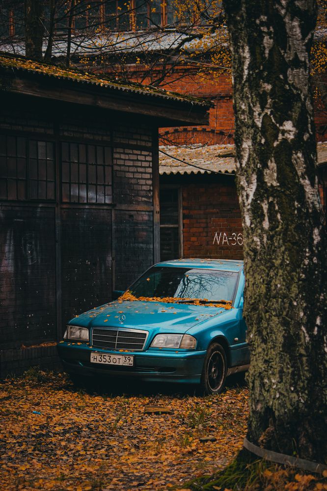 Photograph by Света Вирбицкас