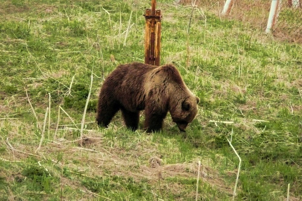 Photograph by Анна Олеговна