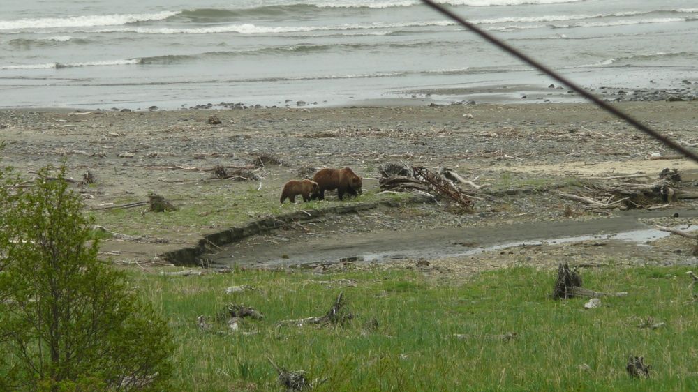 Photograph by Анна Олеговна