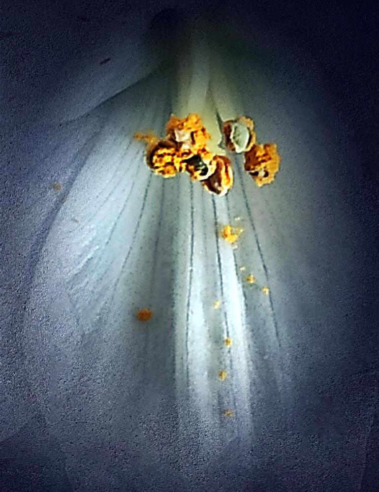 Photograph by Анна Андреевна