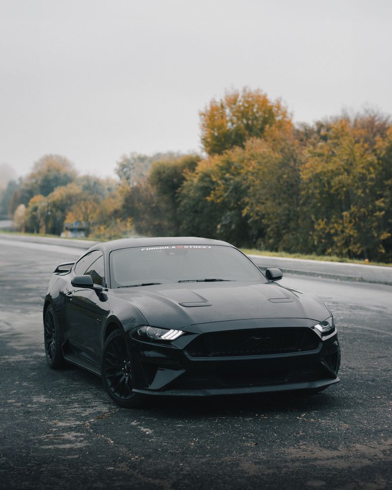 Фотография автора Amir H. Bakhtiari