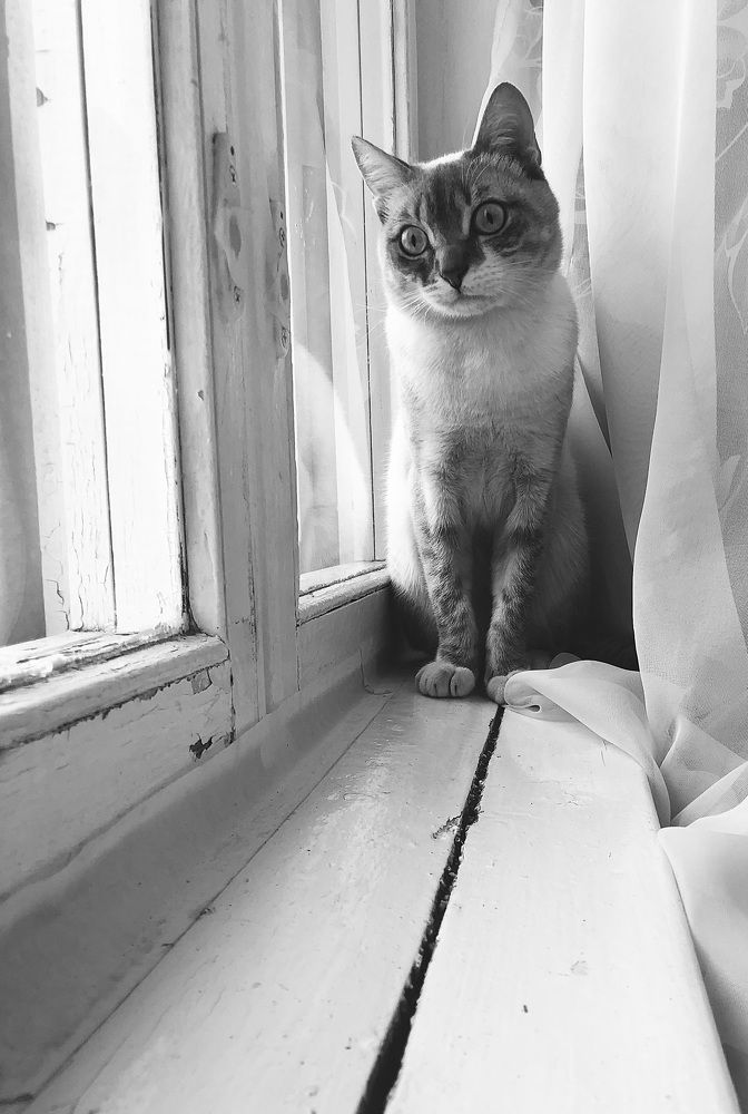 Photograph by Елена Федорова