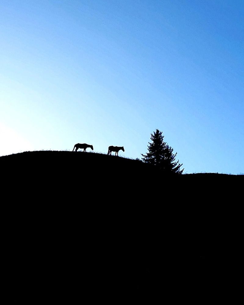 Photograph by Эльвира