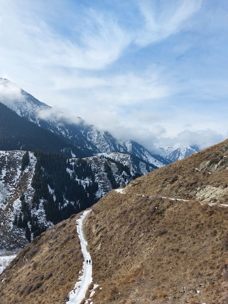 Photograph by Эльвира