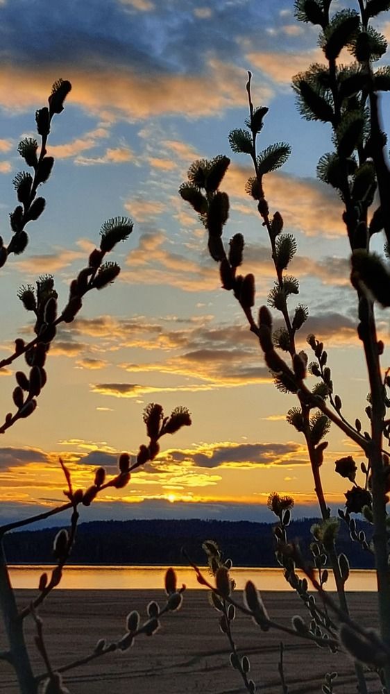 Photograph by Эльвира