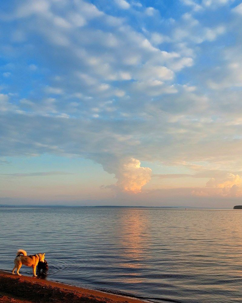 Photograph by Эльвира